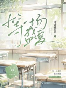 等一场盛夏歌词