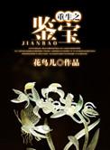 重生之鉴宝捡漏王2短剧免费观看