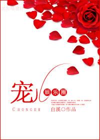 宠儿是什么意思