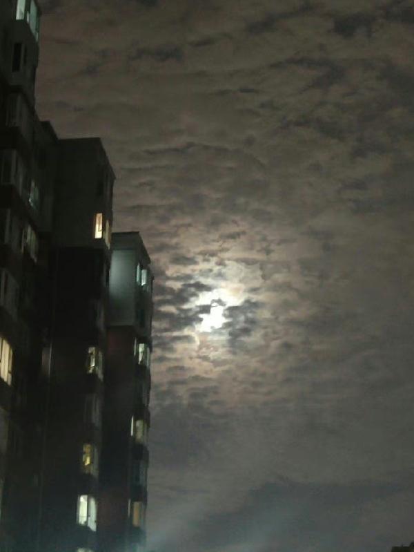 末世重生之低调种田免费阅读