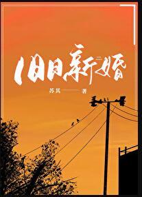 结婚以后1v1沈倾温教授的简介
