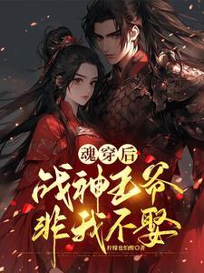 穿越王妃战神王爷
