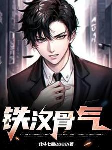 铁骨笔趣阁无弹窗