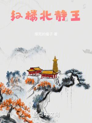红楼北静王爷