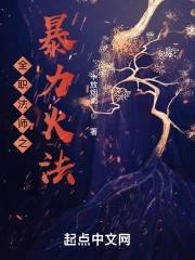 全职法师游戏