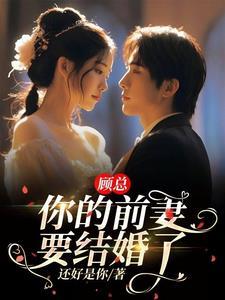 离婚后总裁前夫他疯了