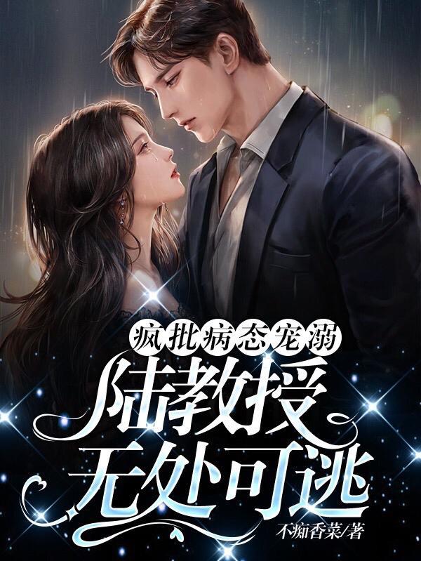 陆教授的追妻路江玥陆昇