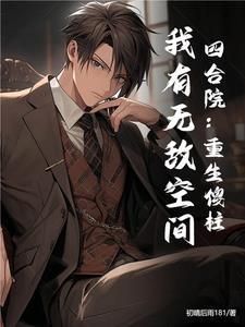 重生四合院之我是傻柱