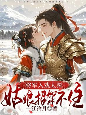 将军进城