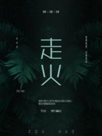 走火免费观看全集