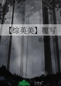 穿越综英美写