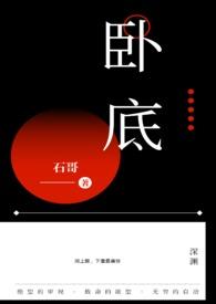 卧底2电视剧免费观看全集