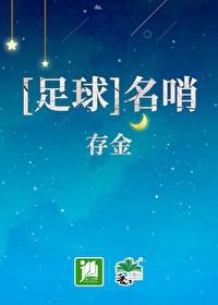足球同人名哨
