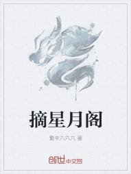 摘星阁公司在哪里