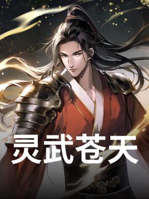 灵武天下后续