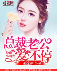 念凉凉总裁的第一宠妻