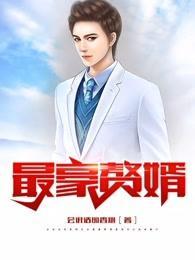 最豪赘婿什么时候开写的