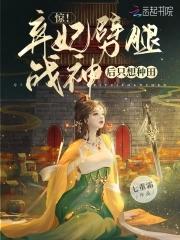 惊世弃妃书籍