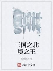 三国之北境之王笔趣阁