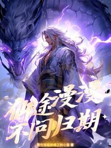 仙途漫兮txt