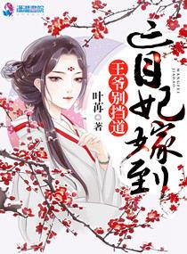 盲妃by