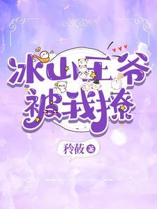 冰山王爷的冷酷王妃