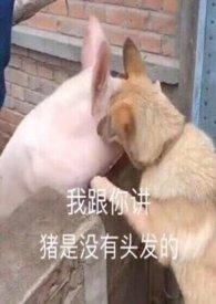 缘来如此简单