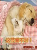 娘娘腔番外3坦白