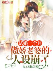 叶倾城苏冷