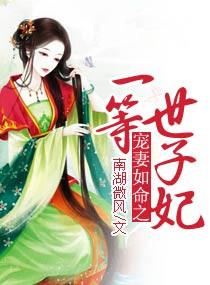红楼之笑看贾府风云