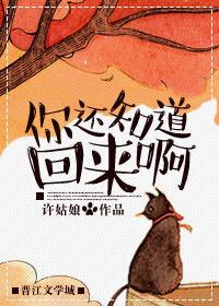许我一颗小心心完整版