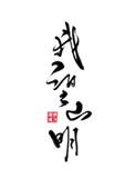 天命新娘讲的什么