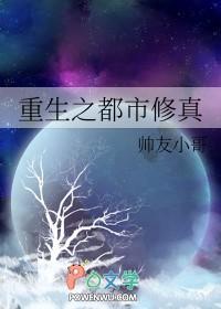 天龙八部之大理世子讲的什么