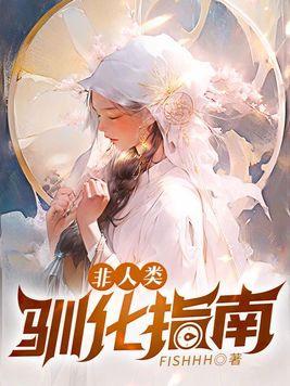 凤凰盗