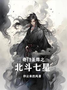 汉皇刘备无防盗