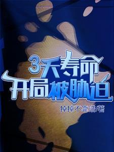 我靠充钱当武帝 搬砖