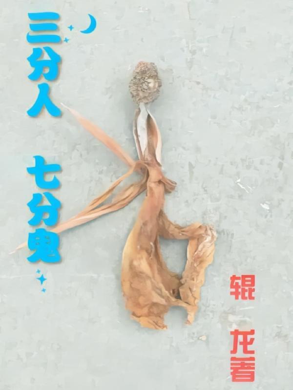 与其随风去