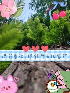 真假少爷总会打起来百度