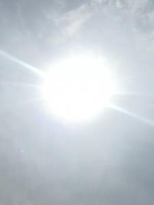 从炼丹术开始肝熟练度无错