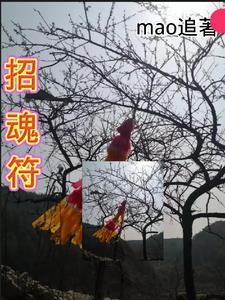 一把好牌打成烂牌