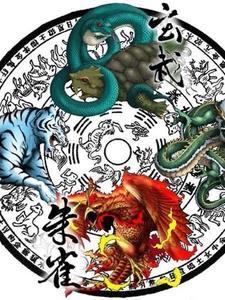 神雕侠侣郭芙砍了杨过