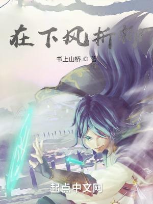 和亲公子简介