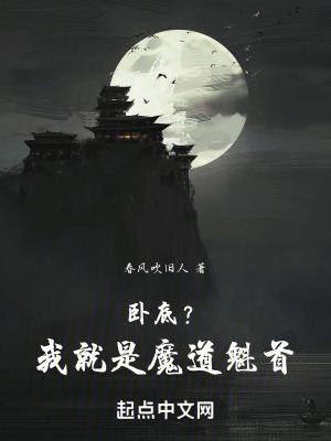 掠夺者和暗影骑士的区别