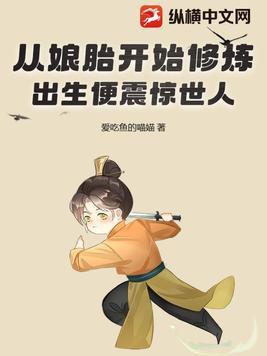 孤胆特工2