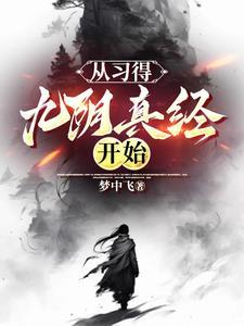无限时空大盗全集
