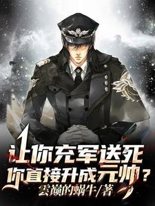 贵妃起居注全文阅读免费