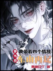 贵妃起居注txt