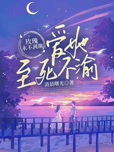 贵妃起居注演员表
