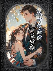 四合院傻柱的崛起免费阅读