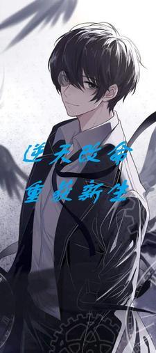 岁月情书免费阅读